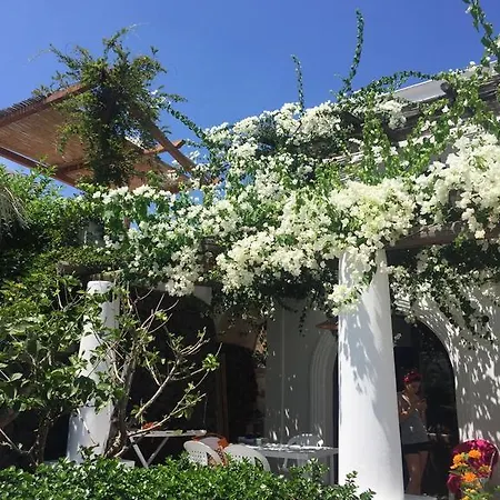 Casa Martha Holiday home Stromboli